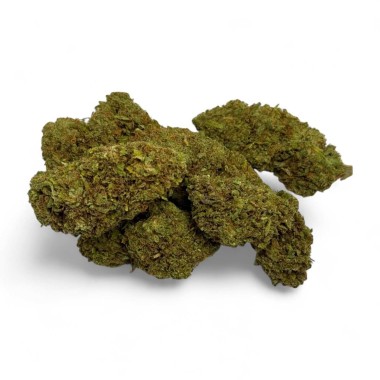 CBD Çiçeği Amnesia 20 Sera