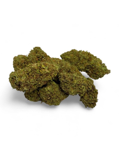 CBD Çiçeği Amnesia 20 Sera