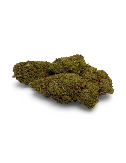 CBD Çiçeği Amnesia 20 Sera