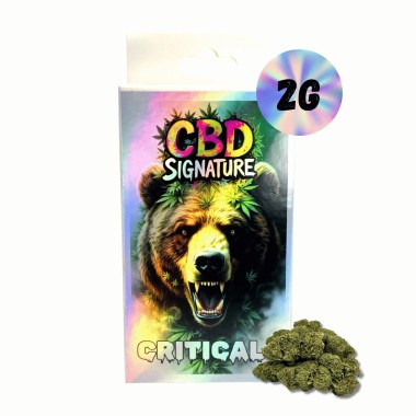 CBD Çiçeği Critical+ 2G - CBD Signature
