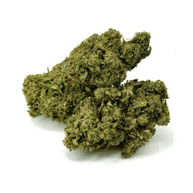 CBD-Blüte California Pink Haze NL-1 10%