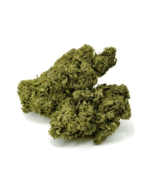 CBD-Blüte California Pink Haze NL-1 10%