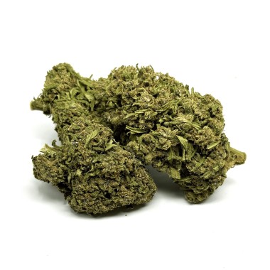 CBD-Blüte California Pink Haze NL-1 10%