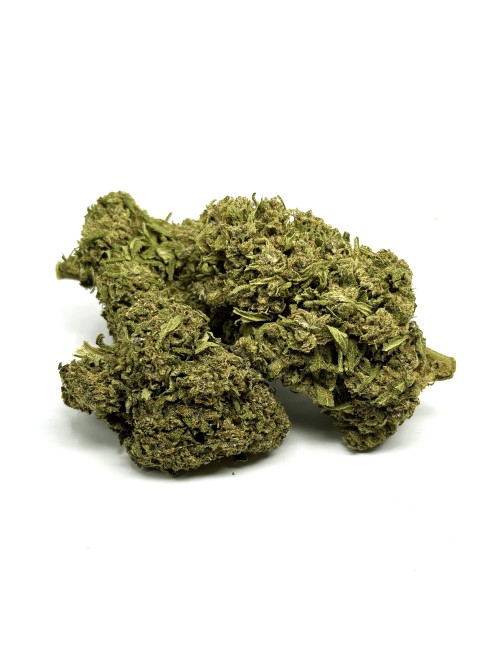 CBD-Blüte California Pink Haze NL-1 10%