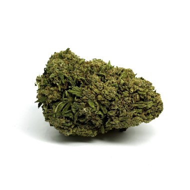 CBD-Blüte California Pink Haze NL-1 10%