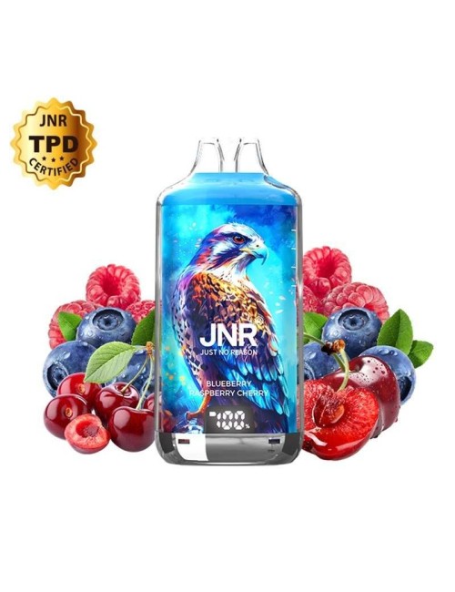 Puff Falcon-X Plus 28K JNR Yaban Mersini Ahududu Kiraz