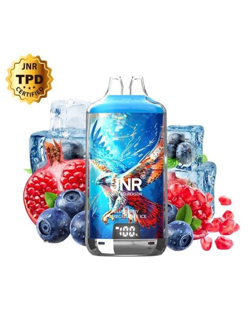 Puff Falcon-X Plus 28000 Yaban Mersini Nar Buz JNR