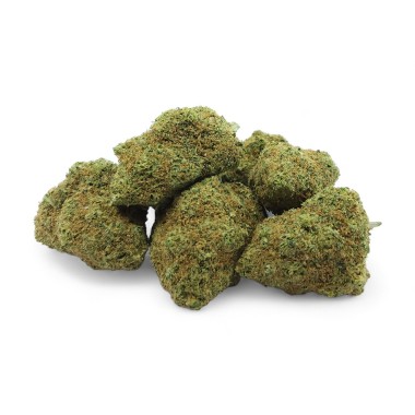 CBD Çiçeği TROPICAL İç Mekan Premium İsviçre