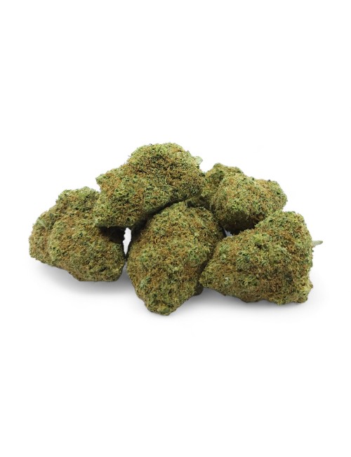 CBD Çiçeği TROPICAL İç Mekan Premium İsviçre