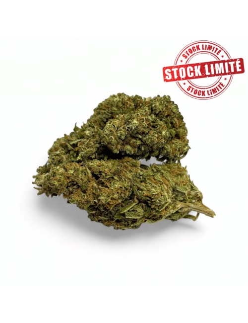 Tükendi CBD Çiçeği Harlequin İç Mekan - Sınırlı Miktar