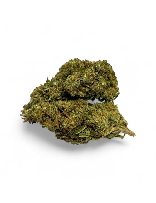 Tükendi CBD Çiçeği Harlequin İç Mekan - Sınırlı Miktar