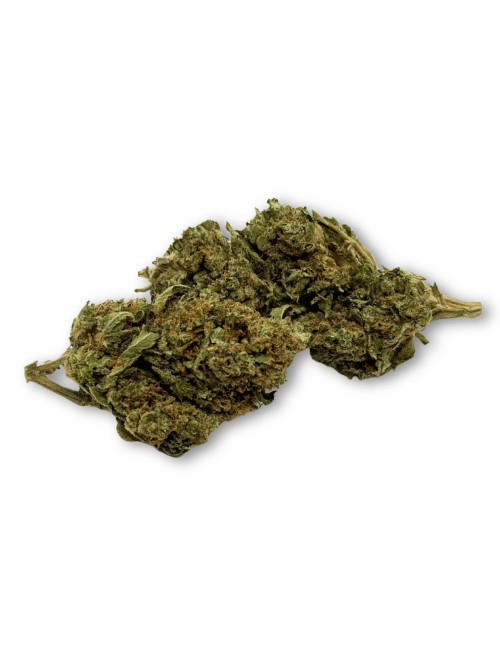 Tükendi CBD Çiçeği Harlequin İç Mekan - Sınırlı Miktar