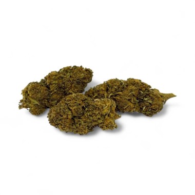 CBD Çiçeği Gorilla Greenhouse