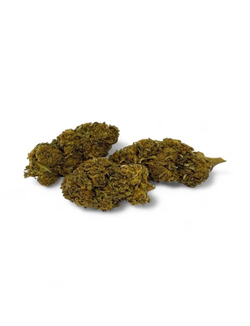 CBD Çiçeği Gorilla Greenhouse