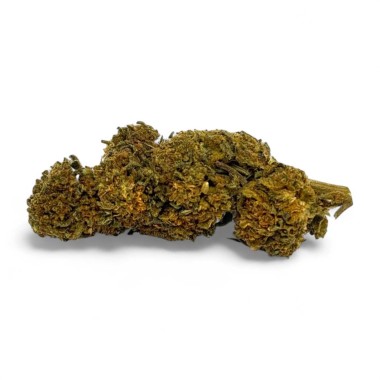 CBD Çiçeği Gorilla Greenhouse