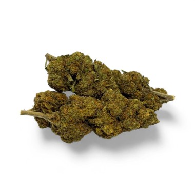 CBD Çiçeği Critical+ Greenhouse %8