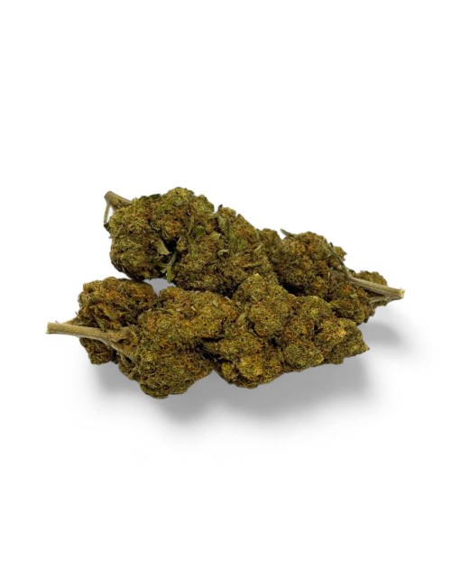 CBD Çiçeği Critical+ Greenhouse %8