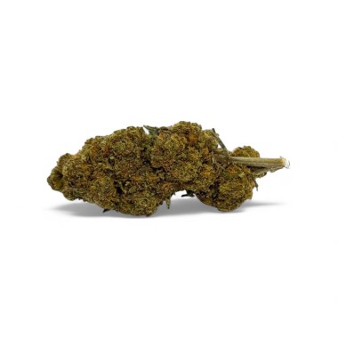 CBD Çiçeği Critical+ Greenhouse %8