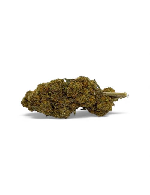 CBD Çiçeği Critical+ Greenhouse %8