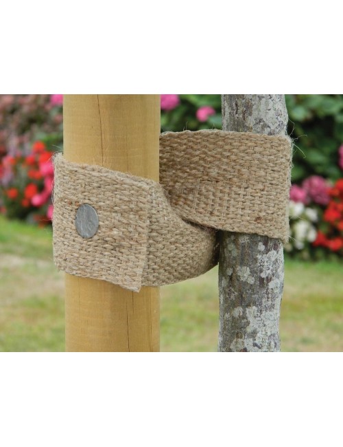 Doğal Ağaç Askısı 5 m x 5 cm