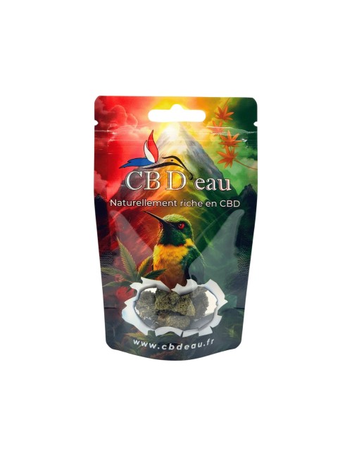 Set von 100 Kolibri CBD'eau Beuteln 140x85x50mm