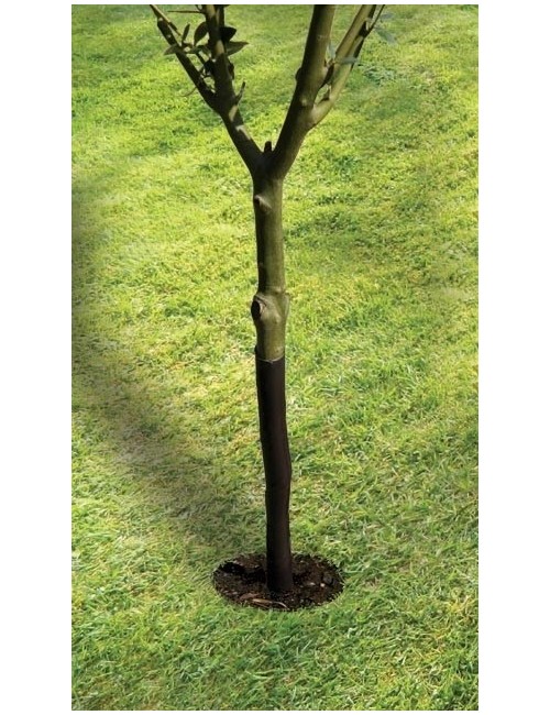 Spiral Ağaç Koruyucu 61cm