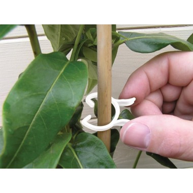 Bitki Klipsleri 2 Boy 25'li Set