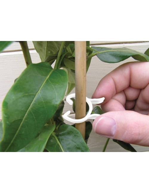 Bitki Klipsleri 2 Boy 25'li Set