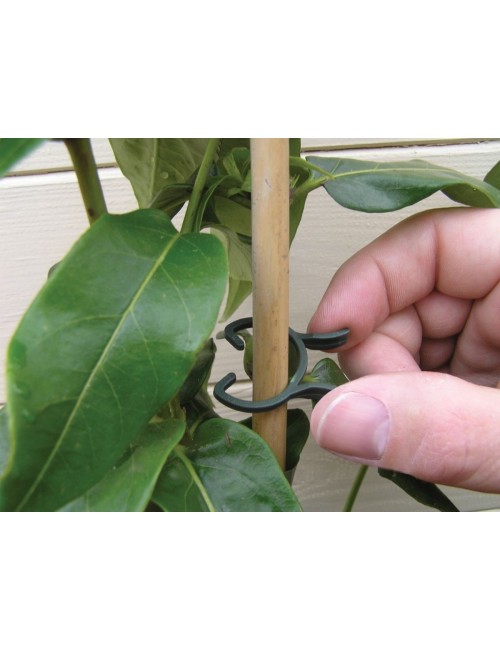 Bitki Klipsleri 2 Boyut 50'li Set