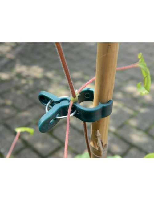 Küçük Bitki Klipsleri 5'li Set