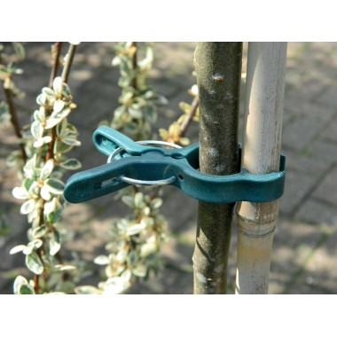 Büyük Bitki Bağlayıcı 5'li Set