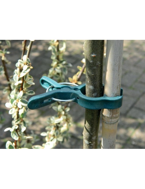 Büyük Bitki Bağlayıcı 5'li Set