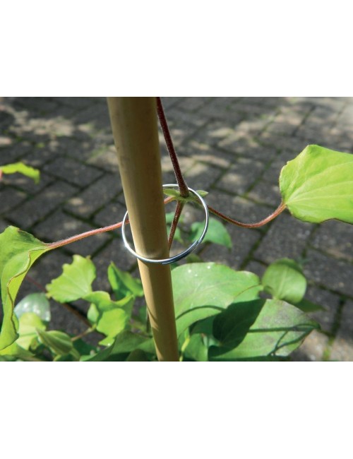 Galvanizli Bitki Halkaları 25'li Set