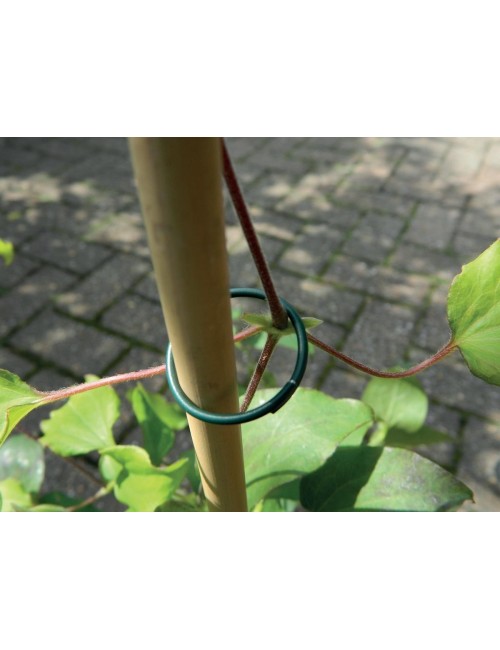 Plastik Bitki Halkaları 25'li Set