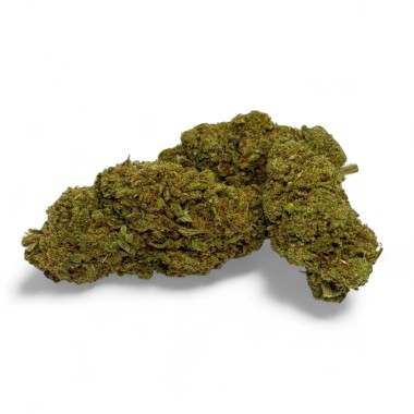 CBD Çiçeği Green Crack Indoor Sınırlı Sayıda