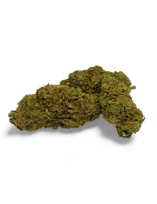 CBD Çiçeği Green Crack Indoor Sınırlı Sayıda