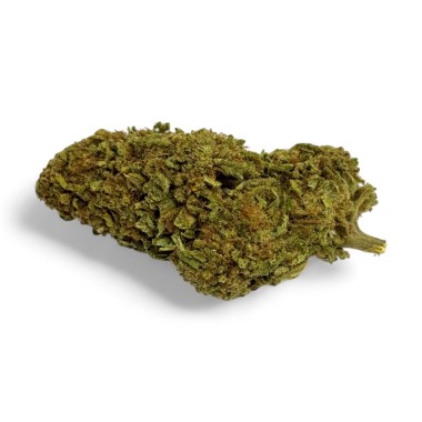 CBD Çiçeği Green Crack Indoor Sınırlı Sayıda