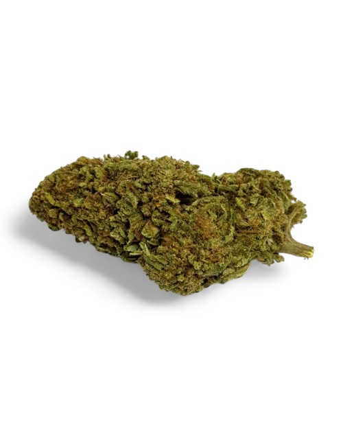 CBD Çiçeği Green Crack Indoor Sınırlı Sayıda