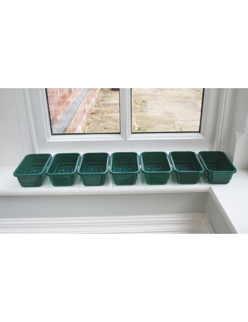 Mini grüne Aussaatschale mit Löchern