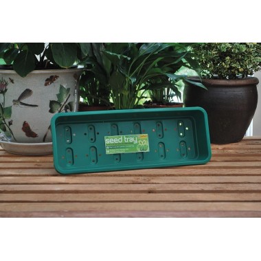 Schmaler grüner Anzuchtkasten mit Löchern