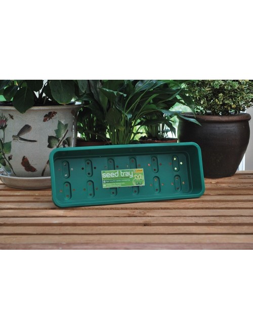 Schmaler grüner Anzuchtkasten mit Löchern