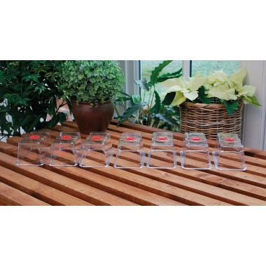 Deckel für Mini-Hochkuppel-Anzuchtgewächshaus