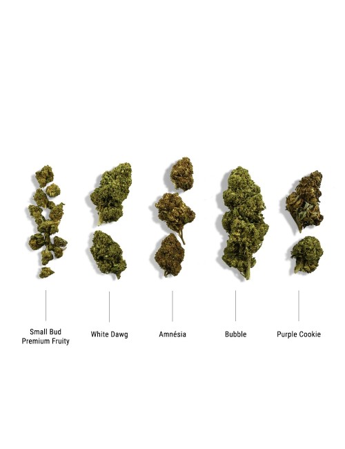 CBD Çiçekleri Başlangıç Keşif Seti