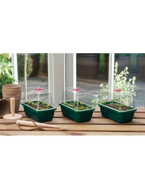 Set mit 3 Mini-Gewächshäusern High Dome Propagator