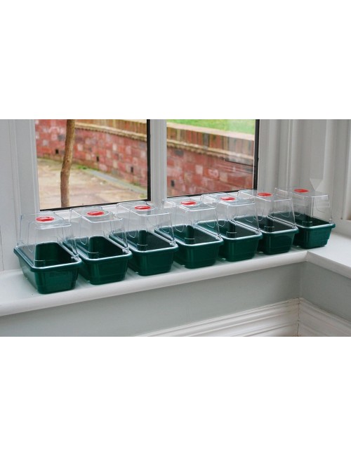 Set mit 3 Mini-Gewächshäusern High Dome Propagator