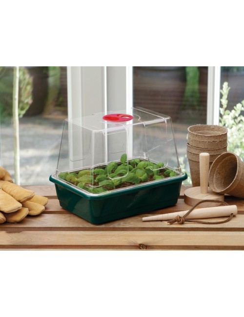 Kleines High-Dome-Gewächshaus