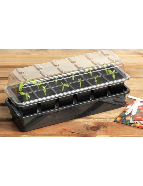 Otomatik 12 Hücreli Sulama Tohum Seti