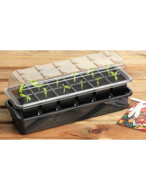 Otomatik 12 Hücreli Sulama Tohum Kiti + 12 Pelet