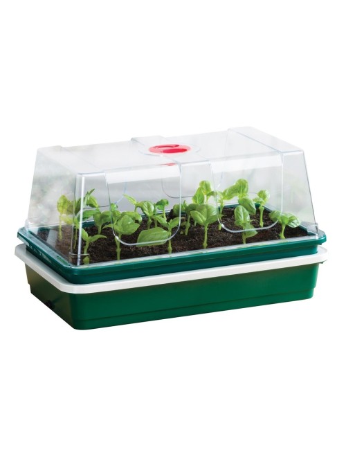 Elektrischer Oberflächenpropagator