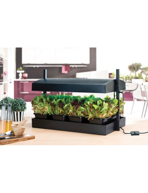 Schwarze Grow Light Pflanzenlampe